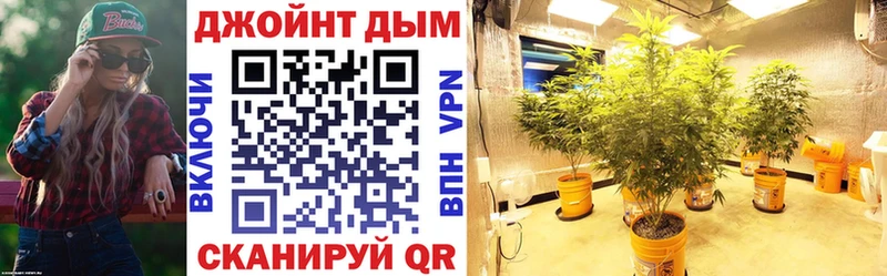 Каннабис семена Нововоронеж
